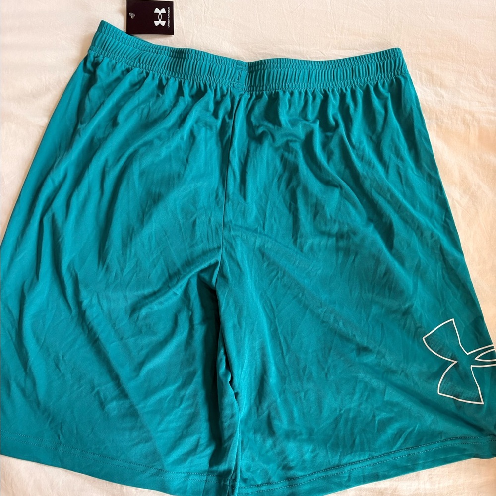 UA Men’s Shorts